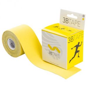 3b scientific giallo 