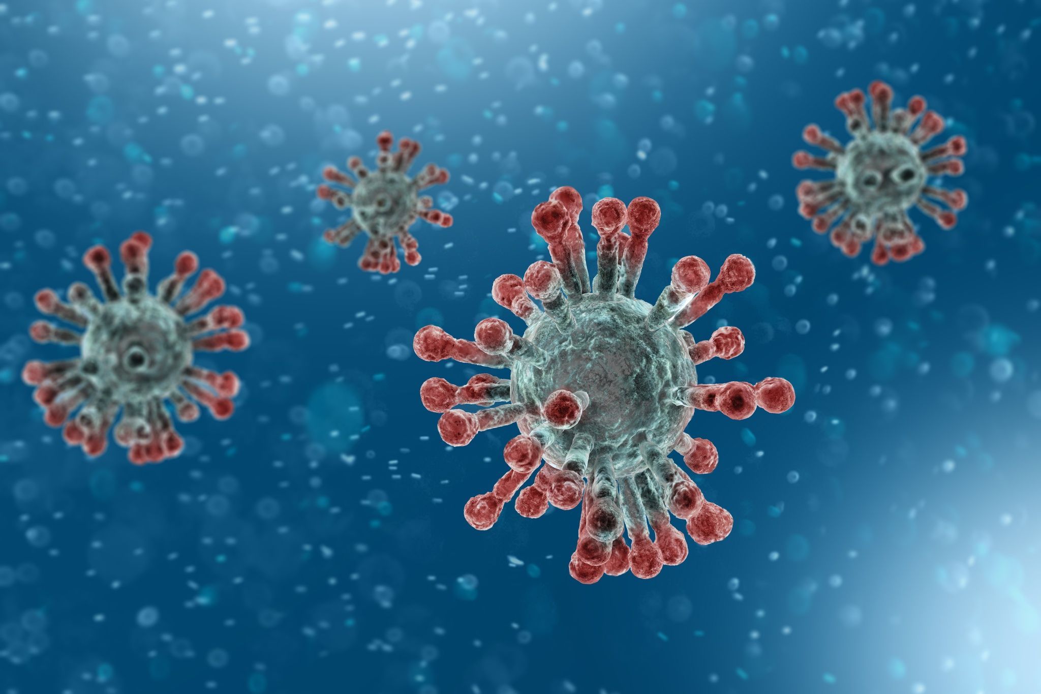 coronavirus