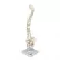 Mini colonna vertebrale, elastica A18/20