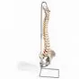 Colonna vertebrale flessibile molto robusta A59/1