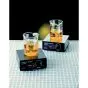 Agitatore magnetico SPEEDSAFE 1L U29945