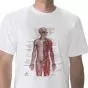 Maglietta anatomica, sistema nervoso, L W41020