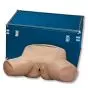 Simulatore per esame pelvico anormale Life/form® Solo 3B Scientific W44745A