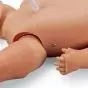 Pelle neonato Life/form® 3B Scientific W44759