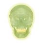 Cranio fluorescente A20/N