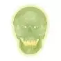 Cranio fluorescente A20/N