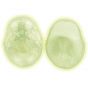 Cranio fluorescente A20/N