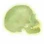 Cranio fluorescente A20/N