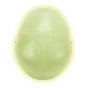 Cranio fluorescente A20/N