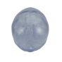 Cranio, modello classico, trasparente, in 3 parti A20/T