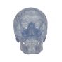 Cranio, modello classico, trasparente, in 3 parti A20/T