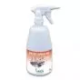 Detergente disinfettante Anios Anioxy-Spray WS