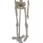 Mini scheletro anatomico umano 45cm Mediprem