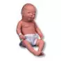 Modello maschile di neonato latino W17000 3B Scientific