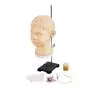 Simulatore diagnostico e procedurale per l'orecchio - 3B