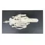 Scheletro di anatra (Anas platyrhynchos) - 3B