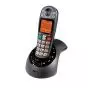 Telefono Geemarc amplificato Amplidect 285