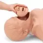 Modello di Torso per rianimazione cardiopolmonare RCP W44597