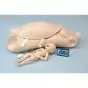 Torso materno e neonatale W45113 3B Scientific