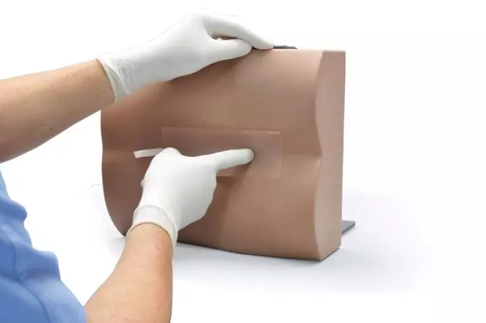 Simulatore di puntura lombare Erler Zimmer R11030