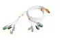 Cavo paziente per ECG Cardioline HD+ (con spina da 4 mm, pressione o pinza) 