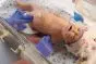 Simulatore neonatale per rianimazione ECG Baby CHARLIE