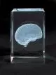 Oggetti preziosi in vetro MEDart™ Cervello MAC15G