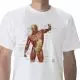 T-shirt anatomiche; Muscolatura W41014