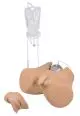 Simulatore di cateterismo con organi genitali femminili 