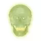 Cranio fluorescente A20/N