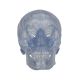 Cranio, modello classico, trasparente, in 3 parti A20/T