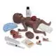 Modello di neonato prematuro nero Life/form® 3B Scientific W44754B