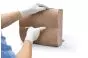 Simulatore di puntura lombare Erler Zimmer R11030