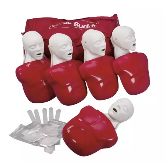 Modello di Torso umano di base per rianimazione cardiopolmonare RCP - 5 unità W44107