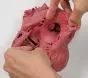 Modello di cuore G520 Erler Zimmer
