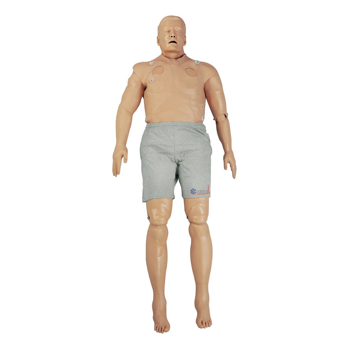 Manichino Flessibile Topmaster In Polipropilene – Testa Girevole 360°, Arti Regolabili, Base In Metallo, Per Sartoria Ed Esposizione