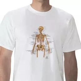 T-shirt anatomiche, Scheletro W41012