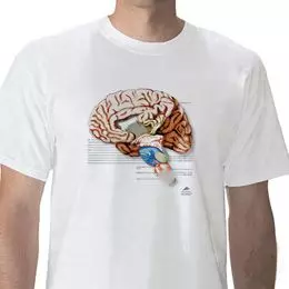 T-shirt anatomiche; Cervello W41040