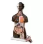 Torso Africa,  bisessuato  in 24 parti B37