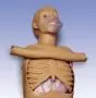 Torso per rianimazione W45117 3B scientific