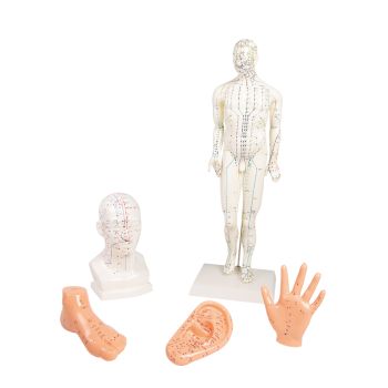 Set d'agopuntura cinese 5 modelli 2052 Erler Zimmer