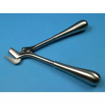 Cesoia ad intonaco, 26 cm - Holtex