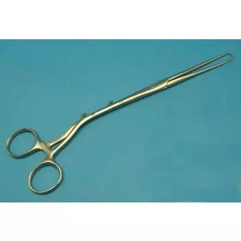 Pinza Bret, 2 ganci, 24 cm - Holtex