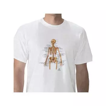 T-shirt anatomiche; Scheletro W41011