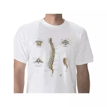 T-shirt anatomiche; Colonna vertebrale W41031