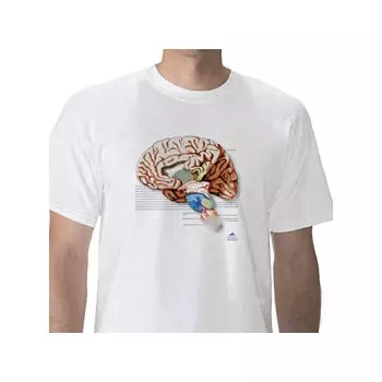 T-shirt anatomiche; Cervello W41039