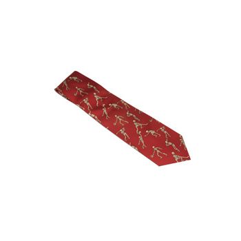 Cravatta di seta dello scheletro sportivo, rossa W41061
