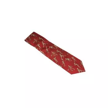 Cravatta di seta dello scheletro sportivo, rossa W41061