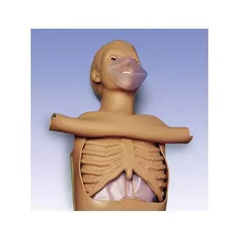 Torso per rianimazione W45117 3B scientific