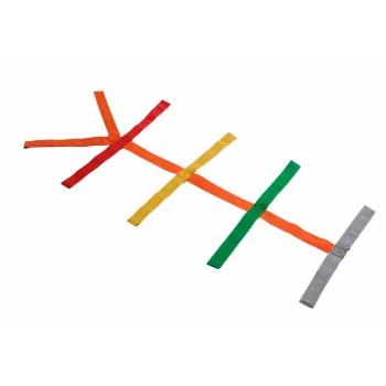 Cinghia ragno adulta - Holtex